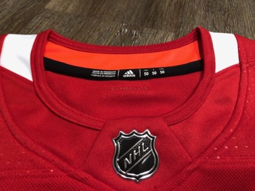 Ham opslaan Conceit Adidas NHL Practice Jersey Review (How Mine Fits w/ Pics) – Sports Fan Focus